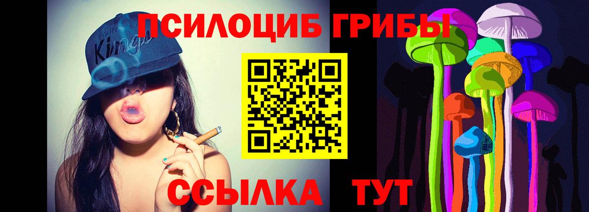 Псилоцибиновые грибы прущие грибы  Вход с VPN  Тайшет 